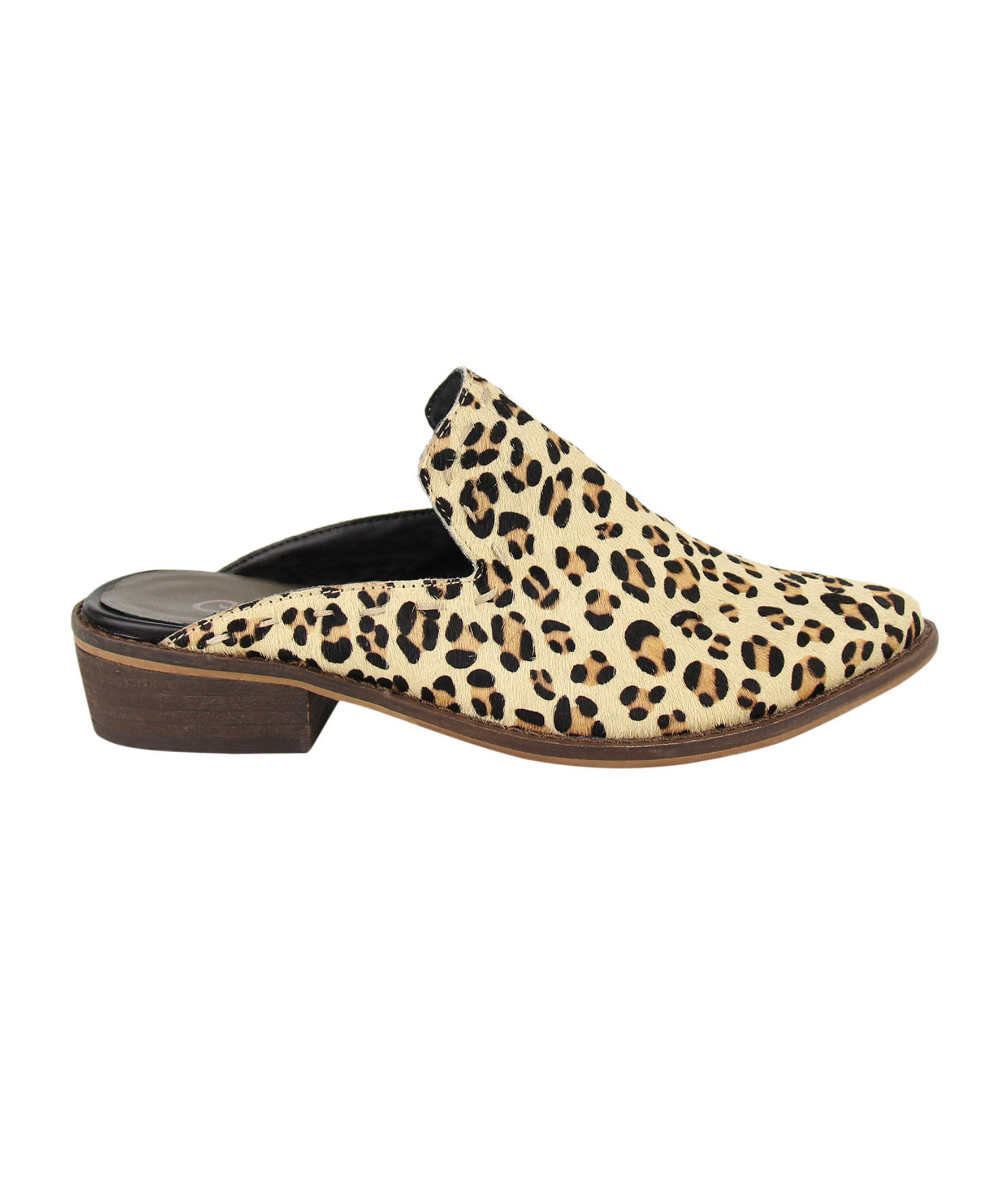 Naughty monkey sale leopard shoes